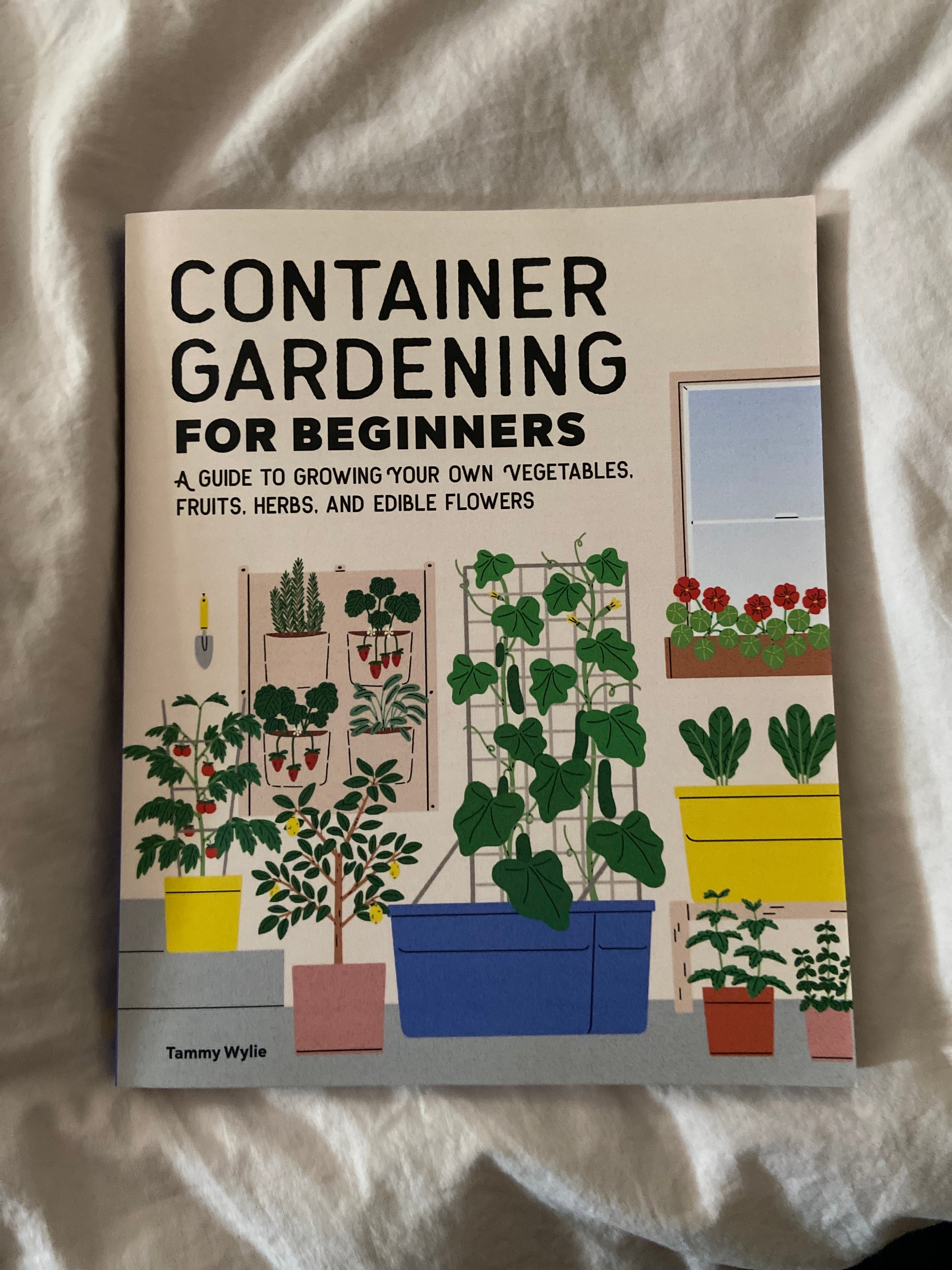 Container Gardening for Beginners