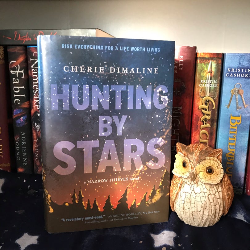 Hunting by Stars (a Marrow Thieves Novel)