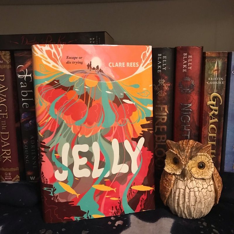 Jelly by Clare Rees, Hardcover | Pangobooks