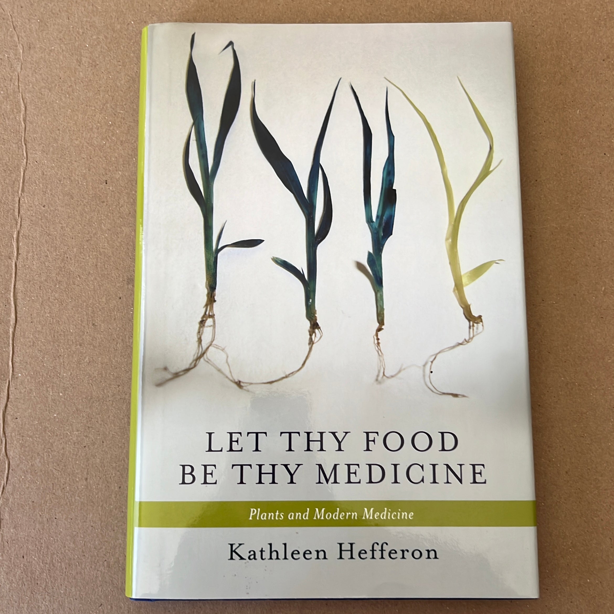 Let Thy Food Be Thy Medicine