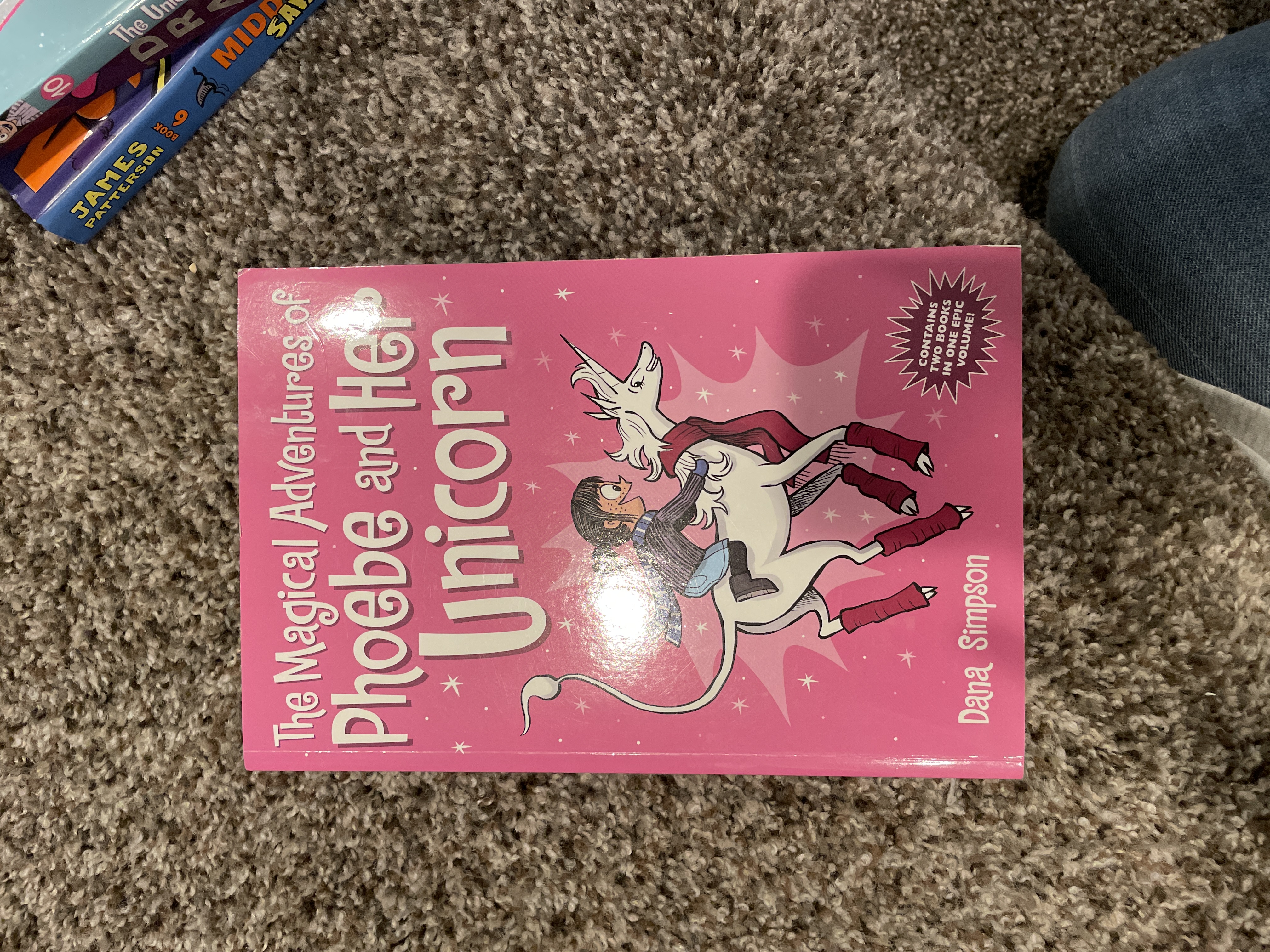 The Magical Adventures of Phoebe and Her Unicorn