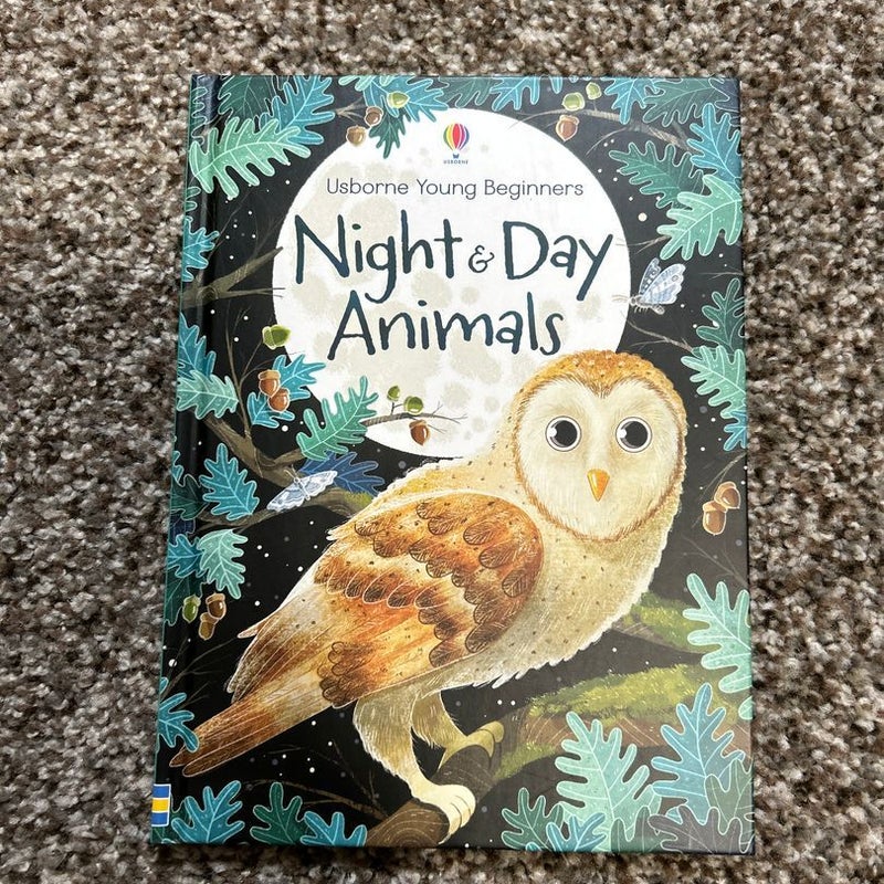 Night and Day Animals