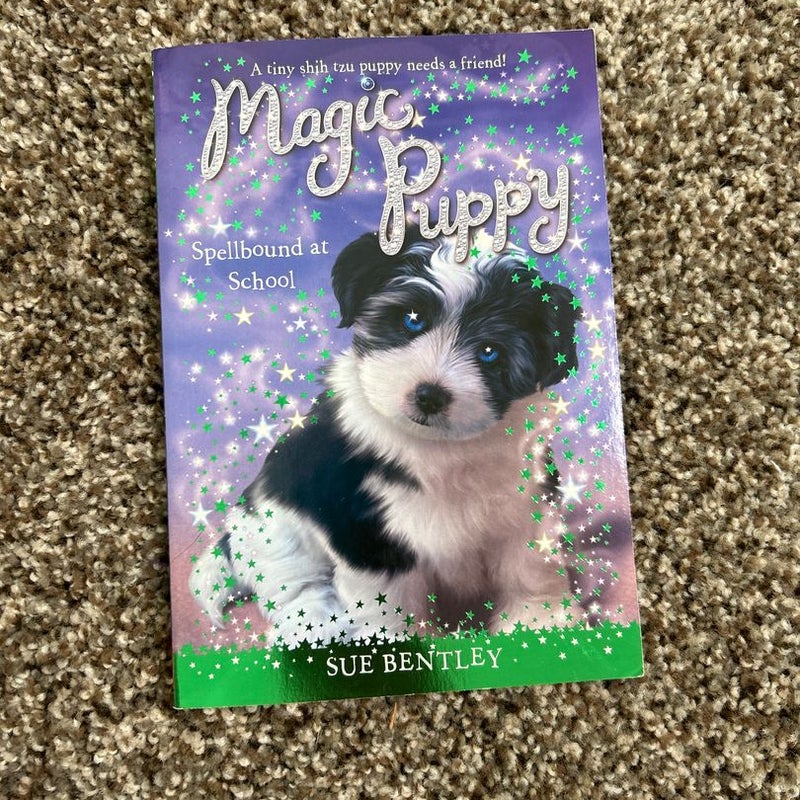 Magic Puppy