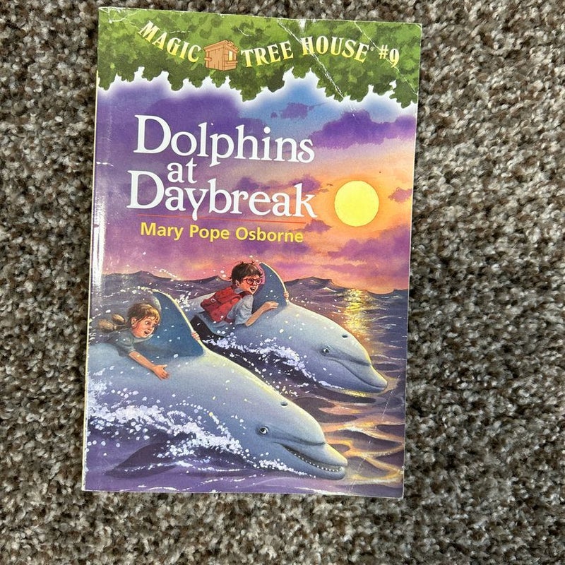 Dolphins at Daybreak