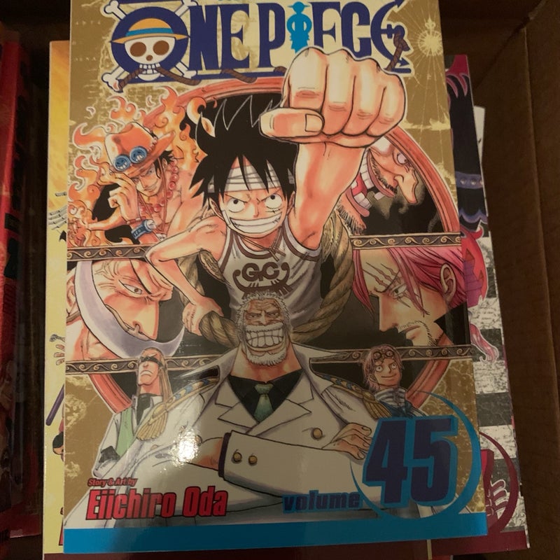 One Piece, Vol. 45