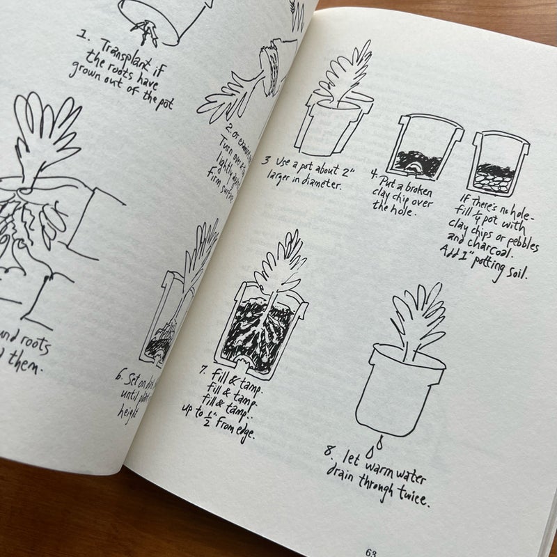 Mother Earth’s Hassle-Free Indoor Plant Book