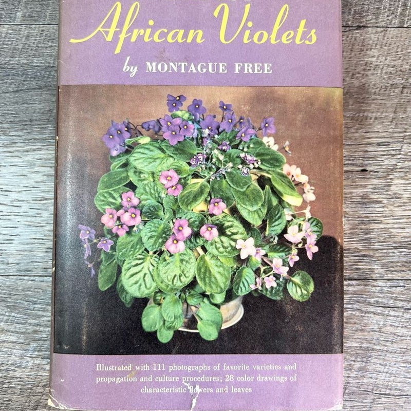 All About African Violets 