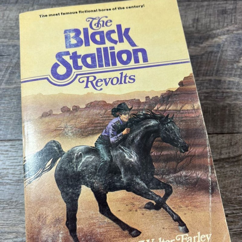 Black Stallion bundle of four