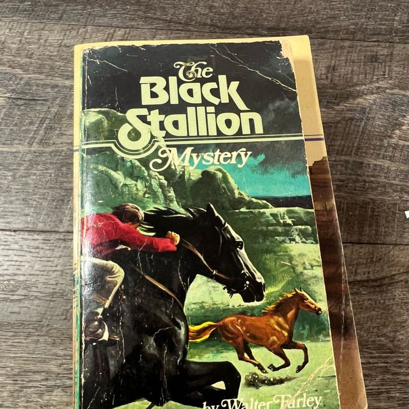 Black Stallion bundle of four