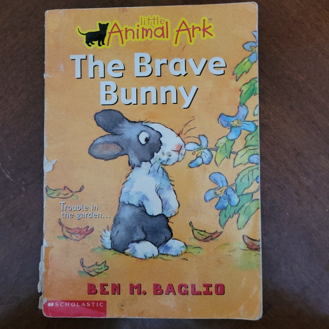 The Brave Bunny
