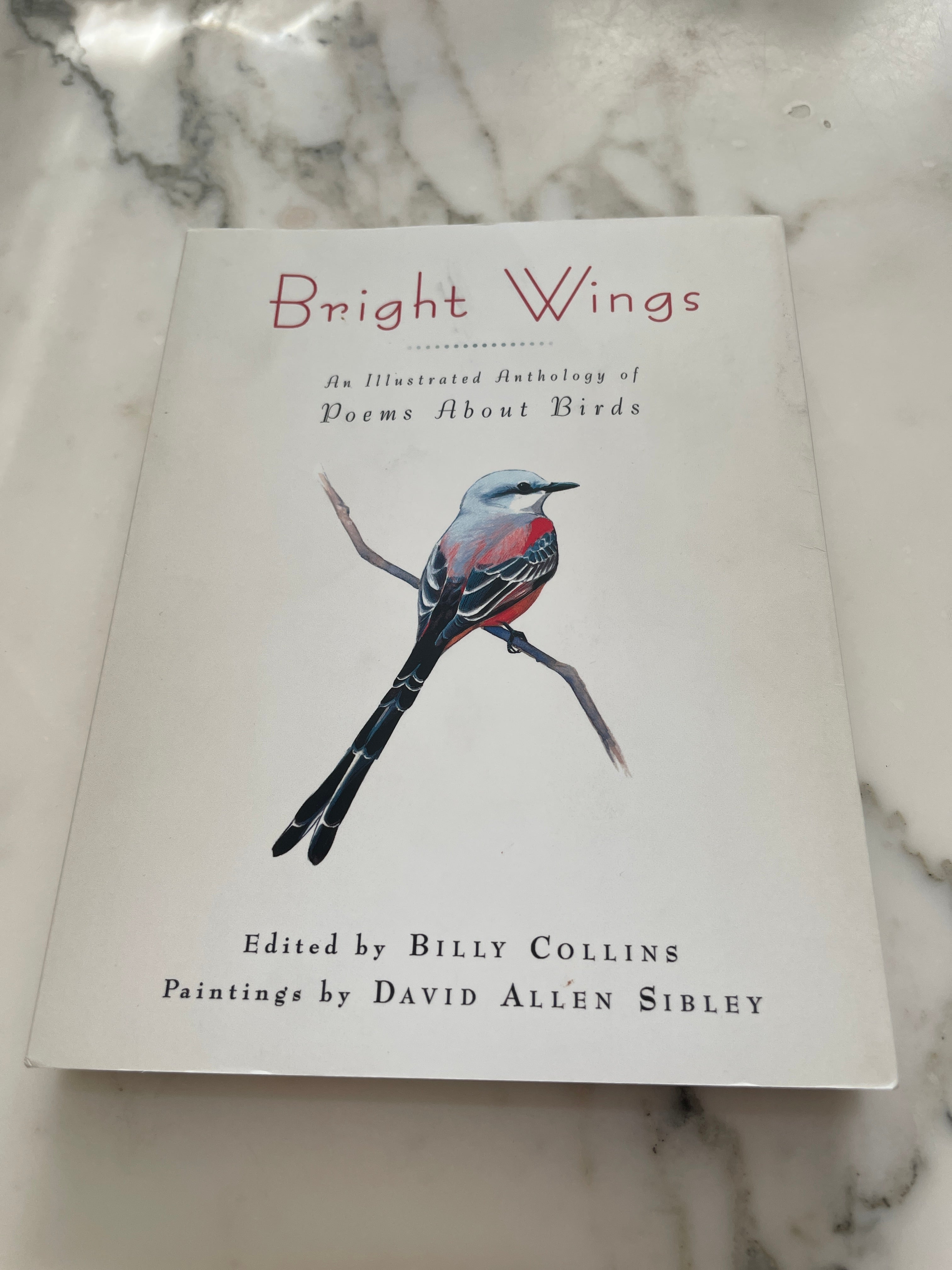 Bright Wings