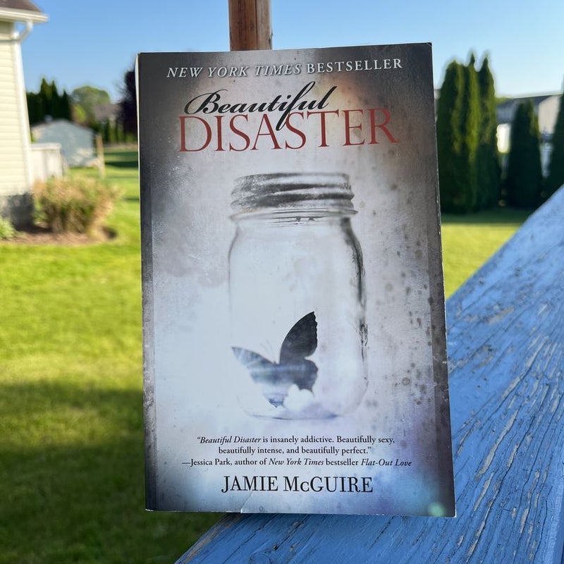 Beautiful Disaster