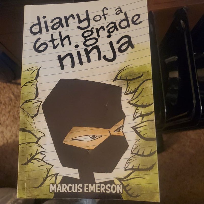 Diary of a 6th Grade Ninja