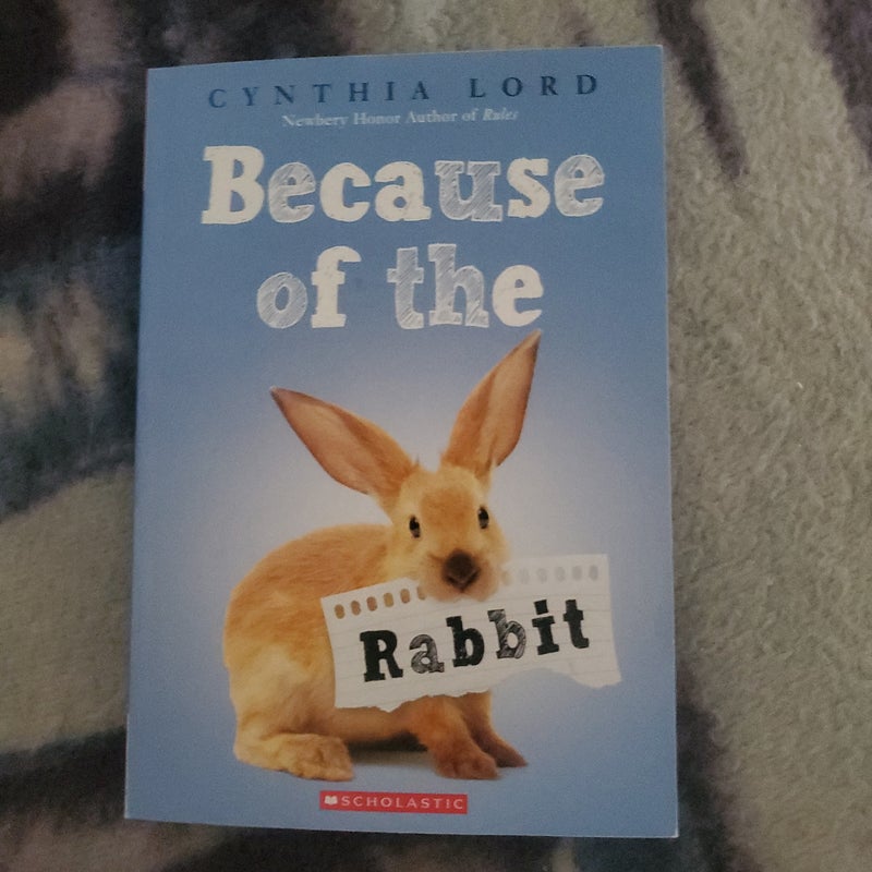 Because of the Rabbit