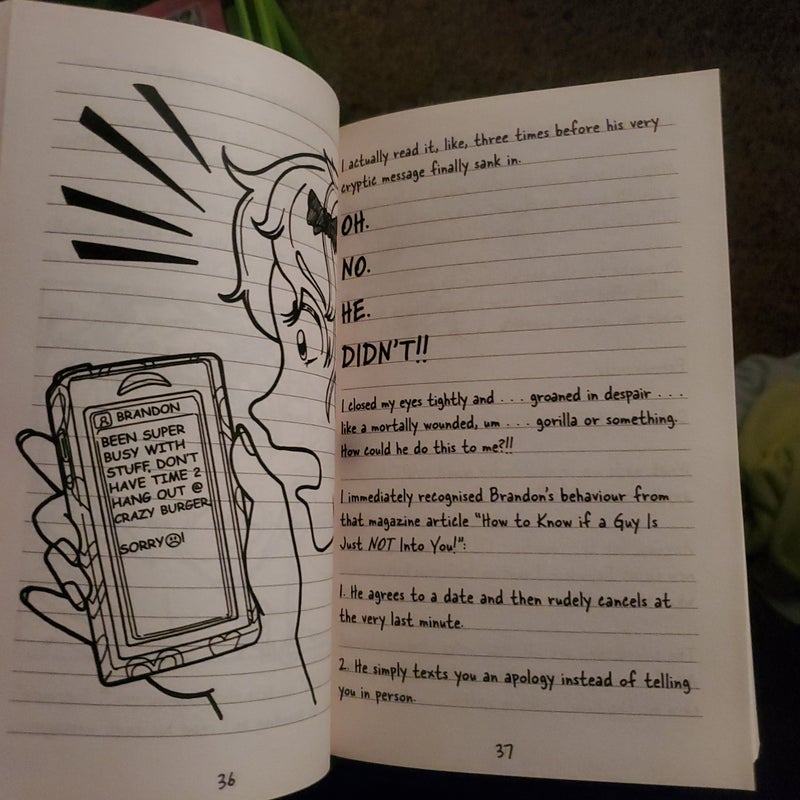 Dork Diaries