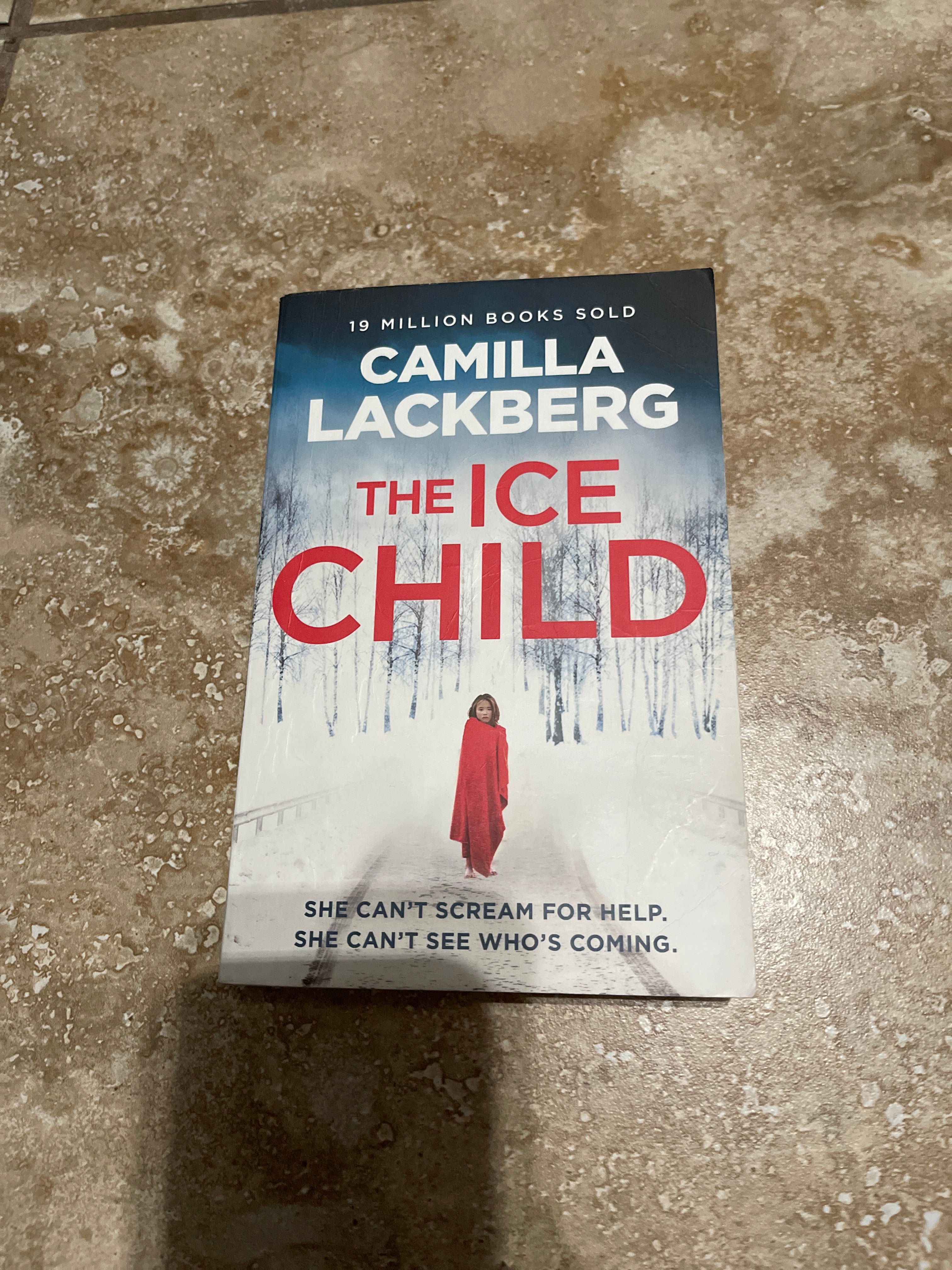 The Ice Child (Patrik Hedstrom and Erica Falck, Book 9)