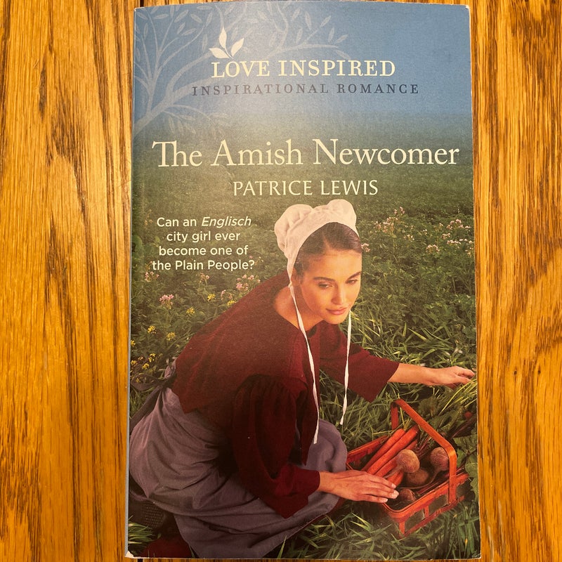 The Amish Newcomer