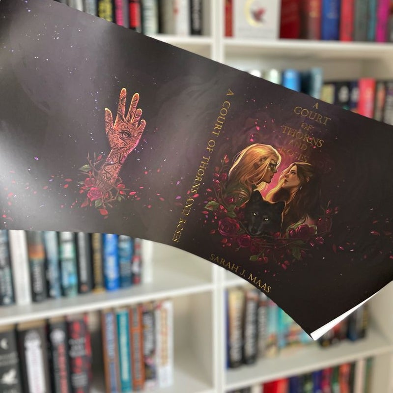 Dusty Shop ACOTAR Dust Jackets set of 3