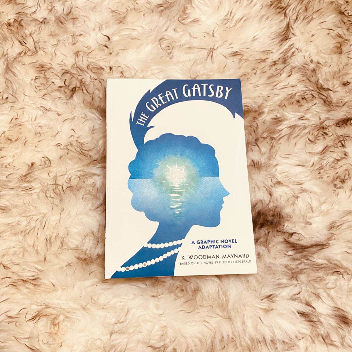 The Great Gatsby: a Graphic Novel Adaptation
