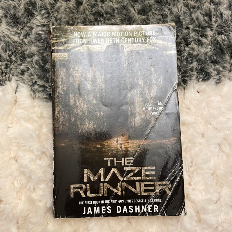 The Maze Runner