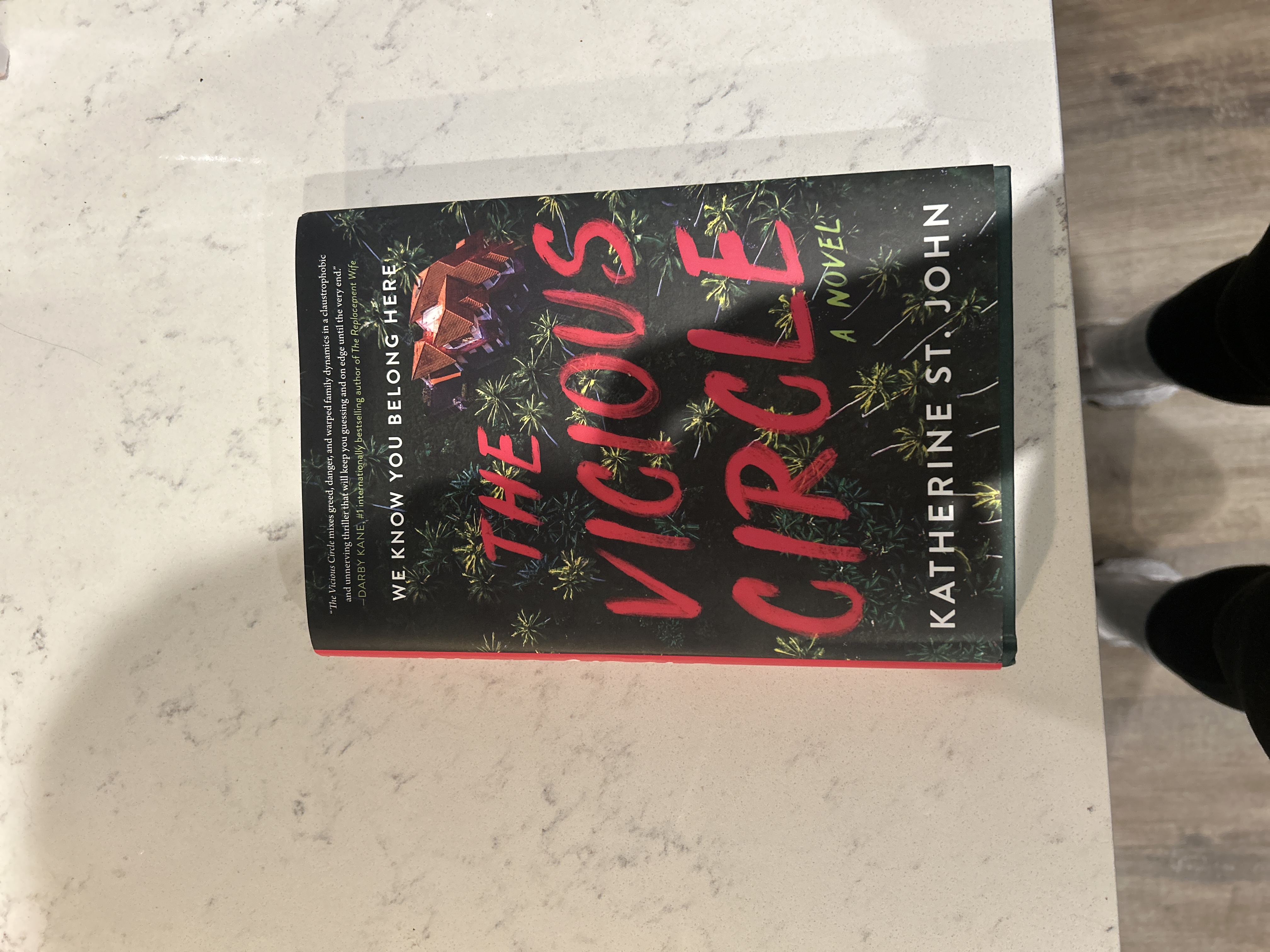 The Vicious Circle book cover