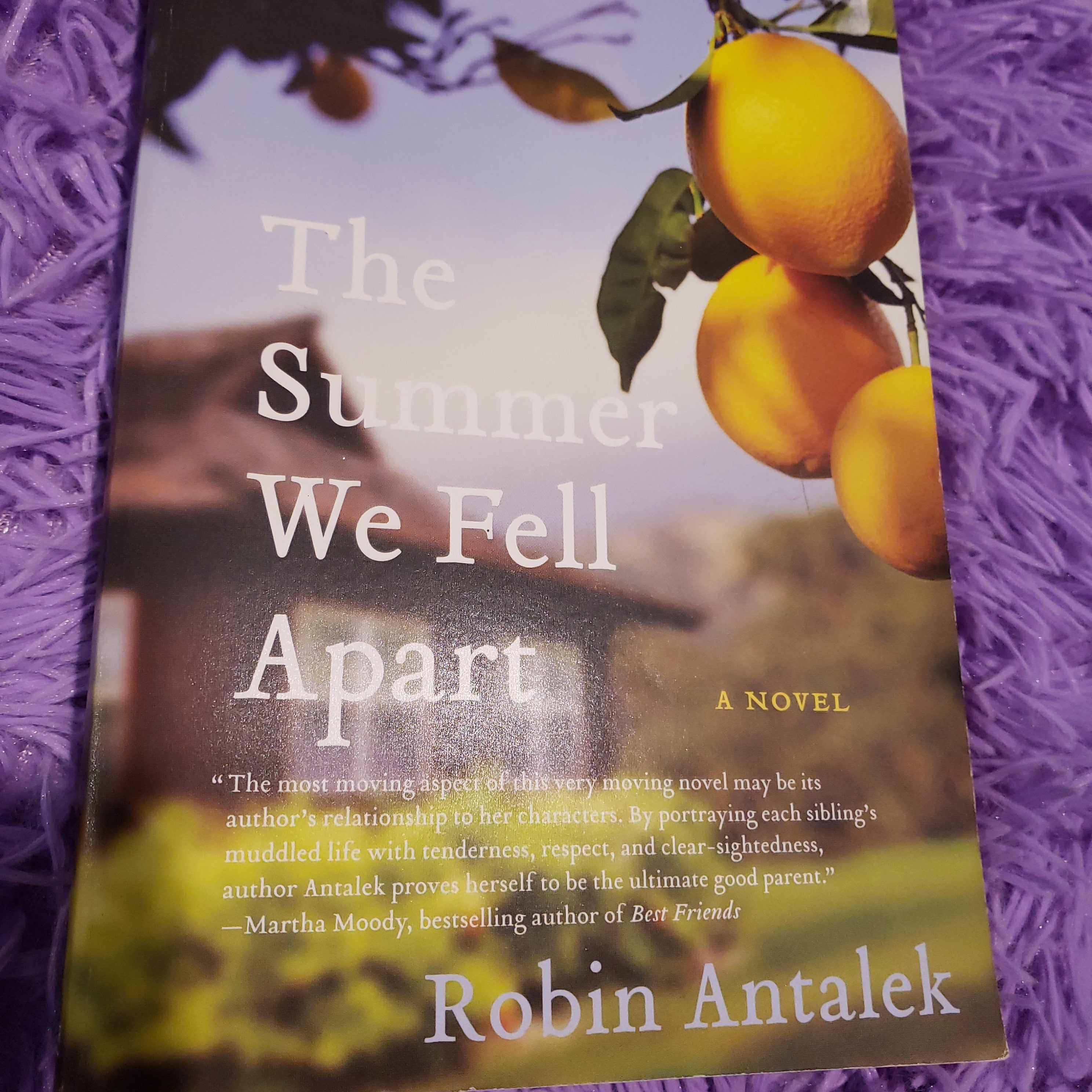 The Summer We Fell Apart