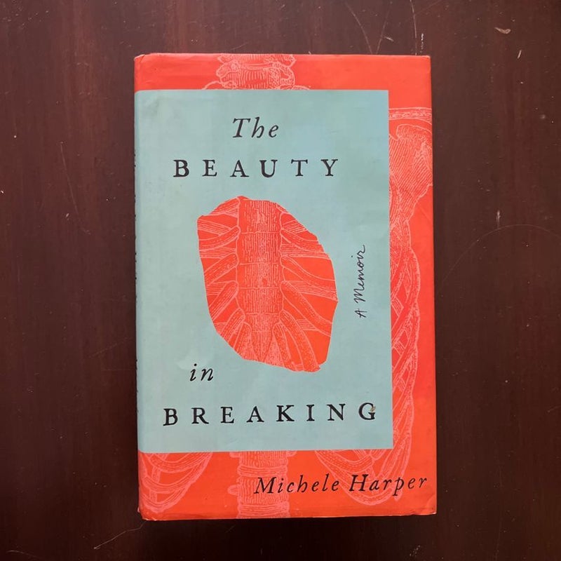 The Beauty in Breaking