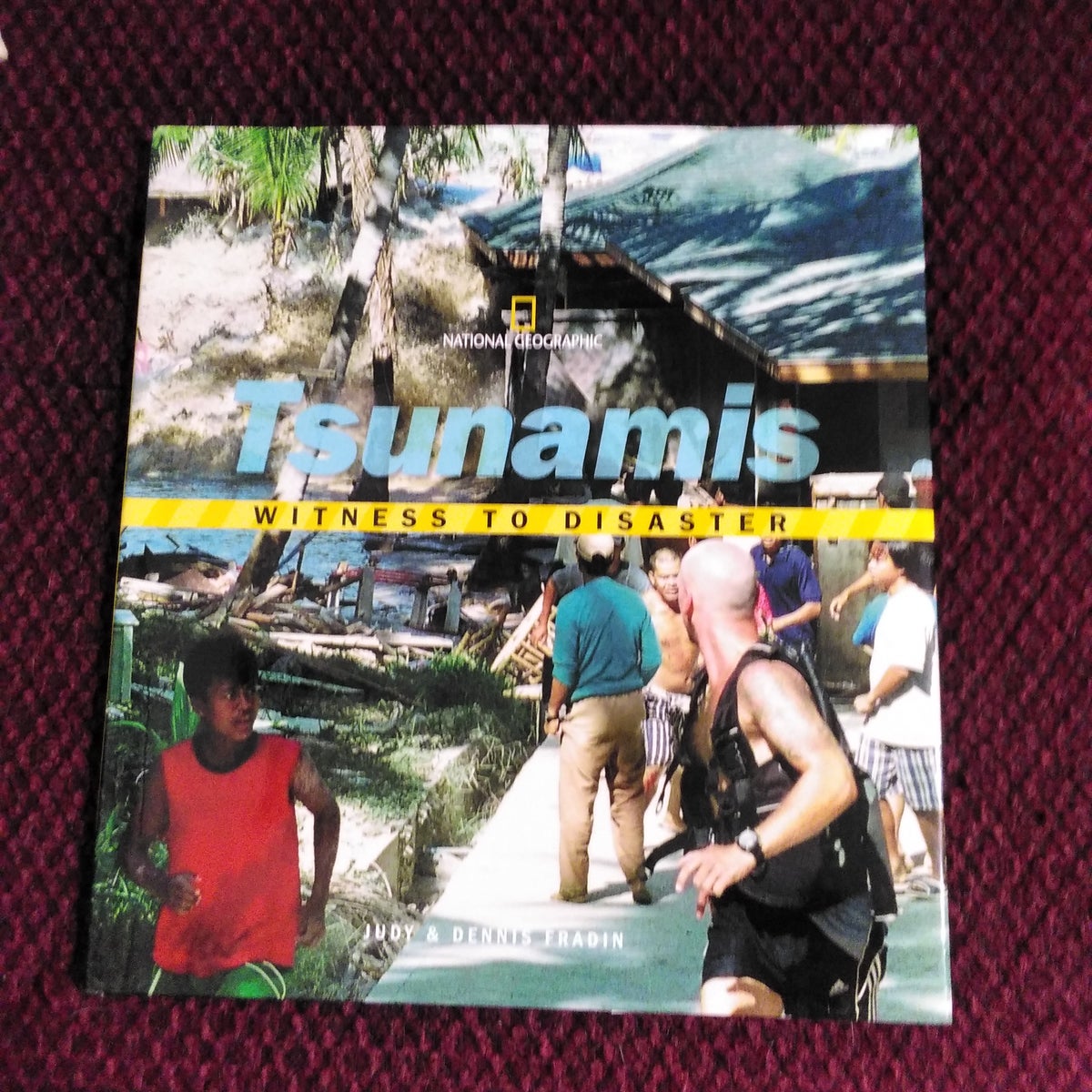 Disasters tsunami
