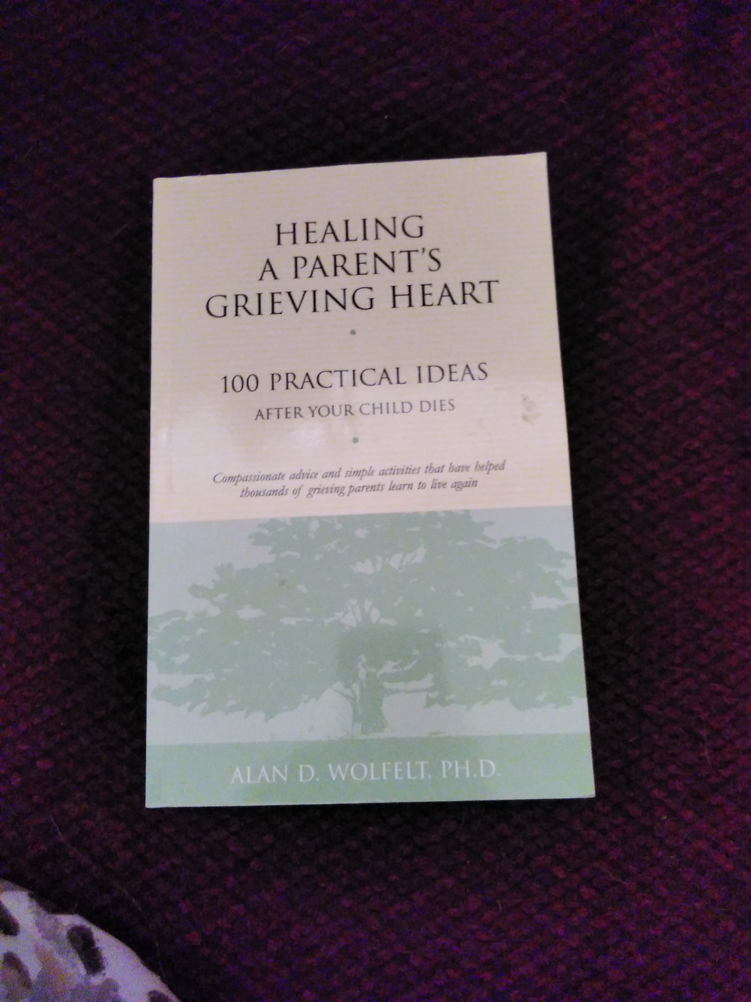 Healing a Parent's Grieving Heart