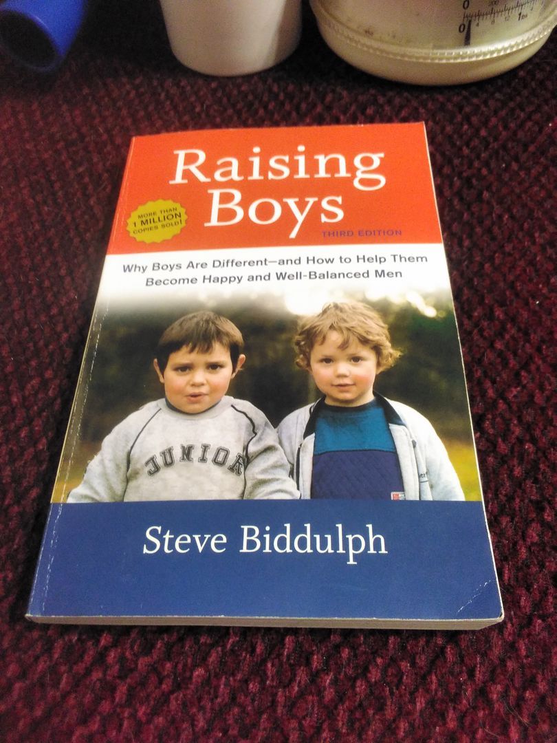 Raising Boys, Third Edition