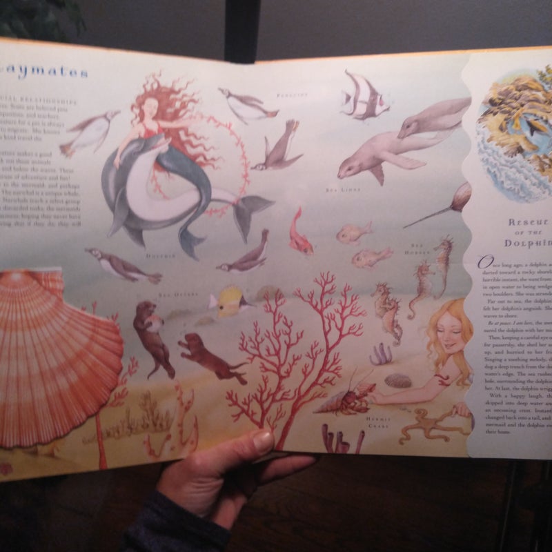 The Mermaid's Treasure