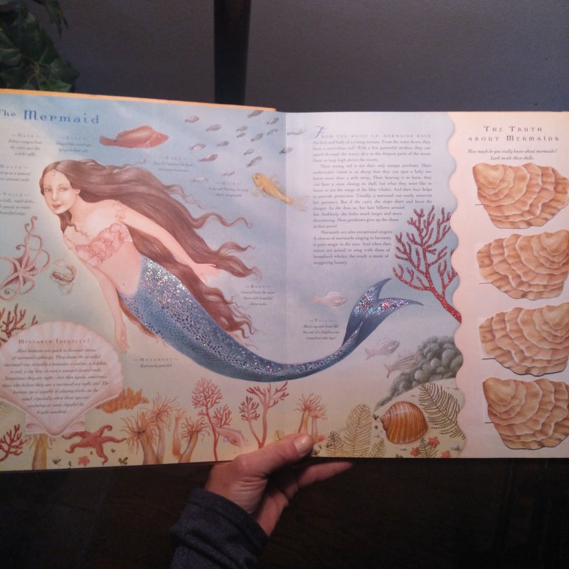 The Mermaid's Treasure