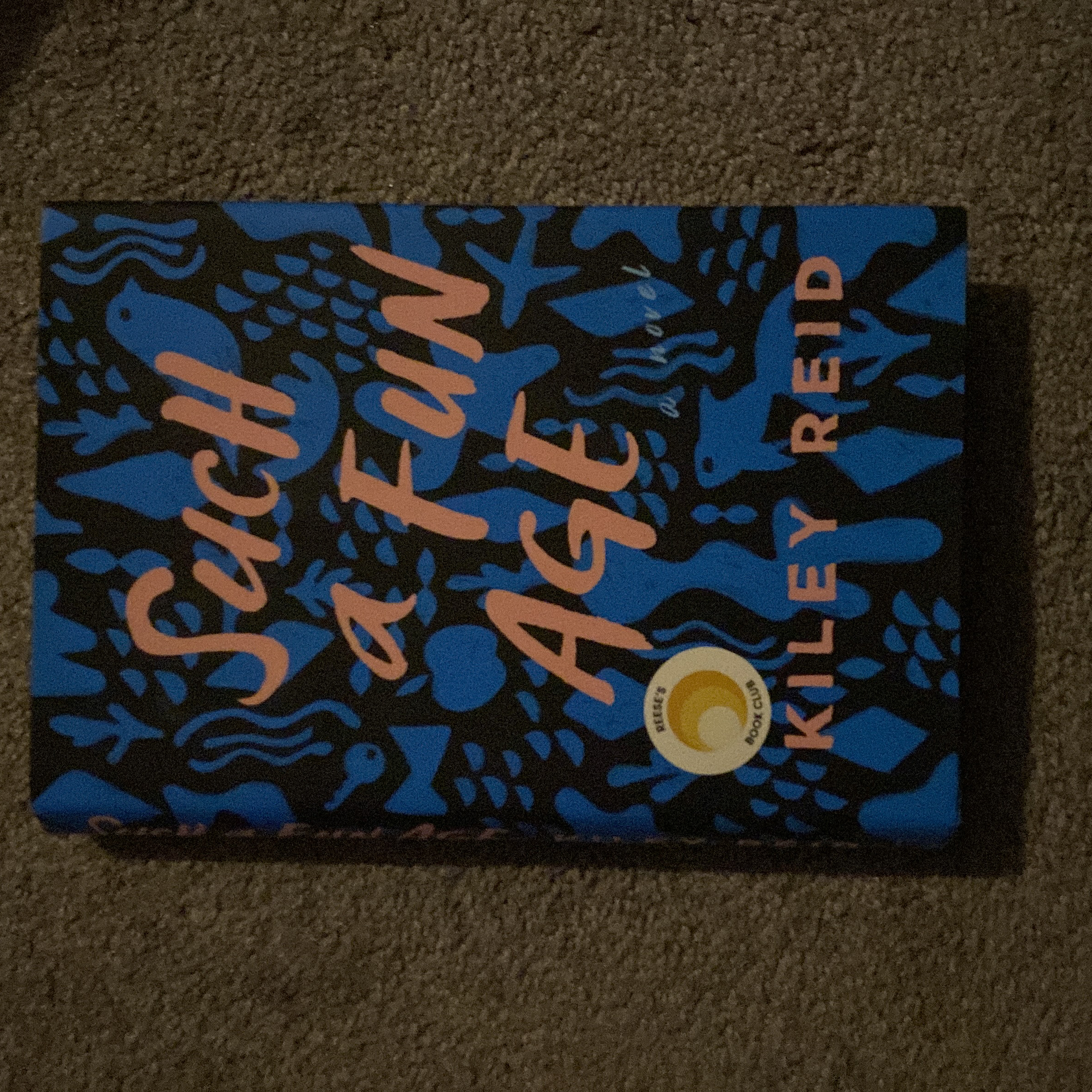 Such a Fun Age book cover