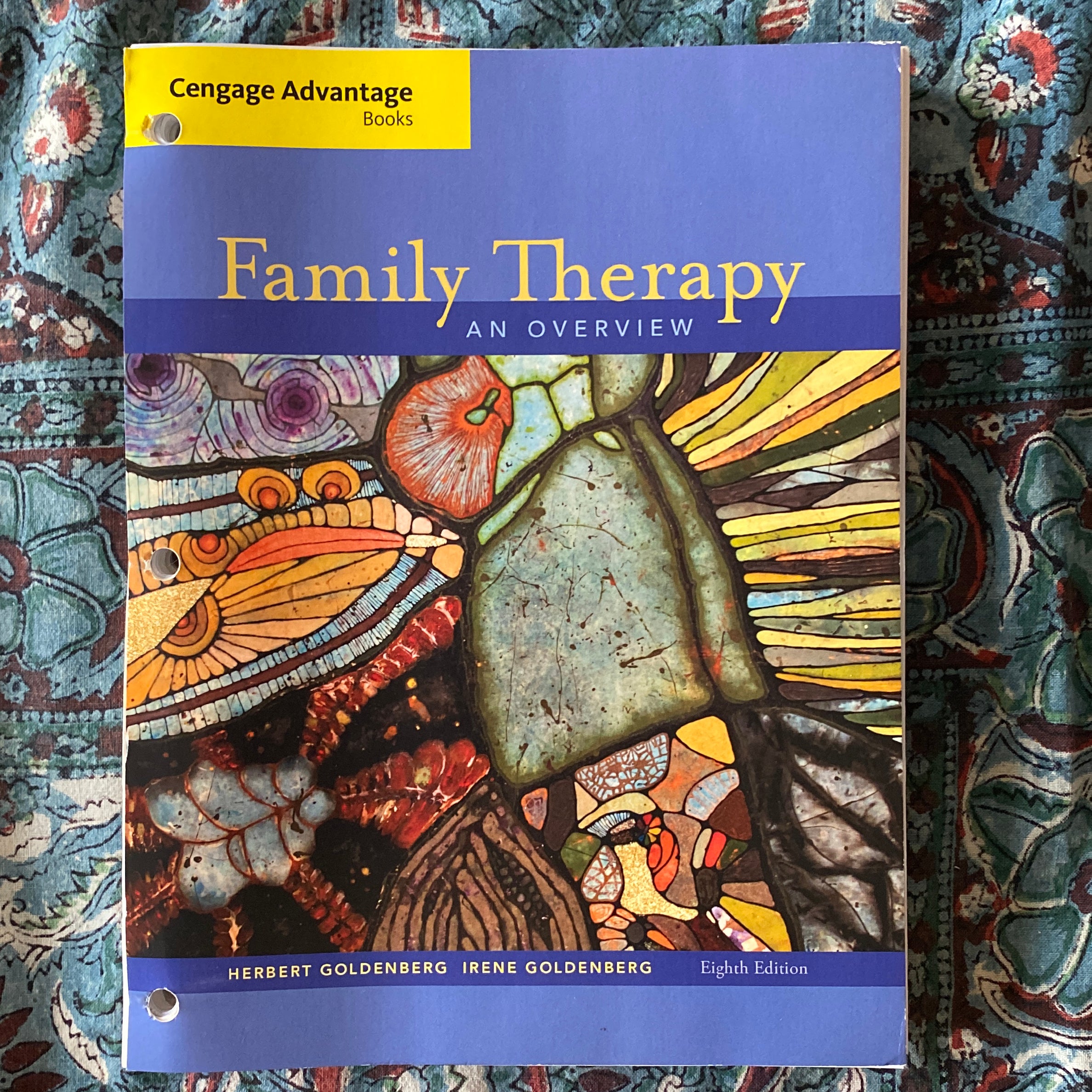 Cengage Advantage Books: Family Therapy