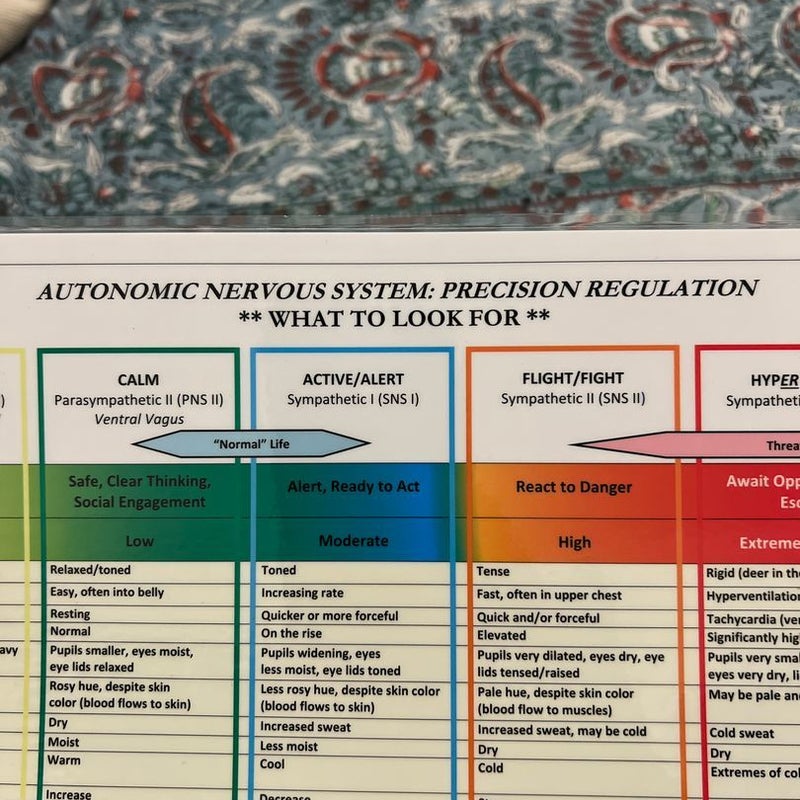 Autonomic Nervous System: Precision Regulation