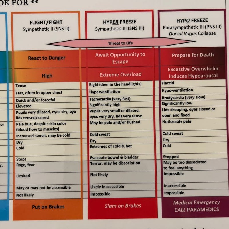 Autonomic Nervous System: Precision Regulation