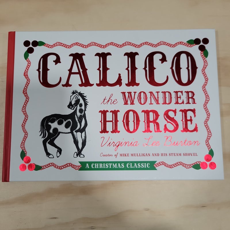 Calico the Wonder Horse