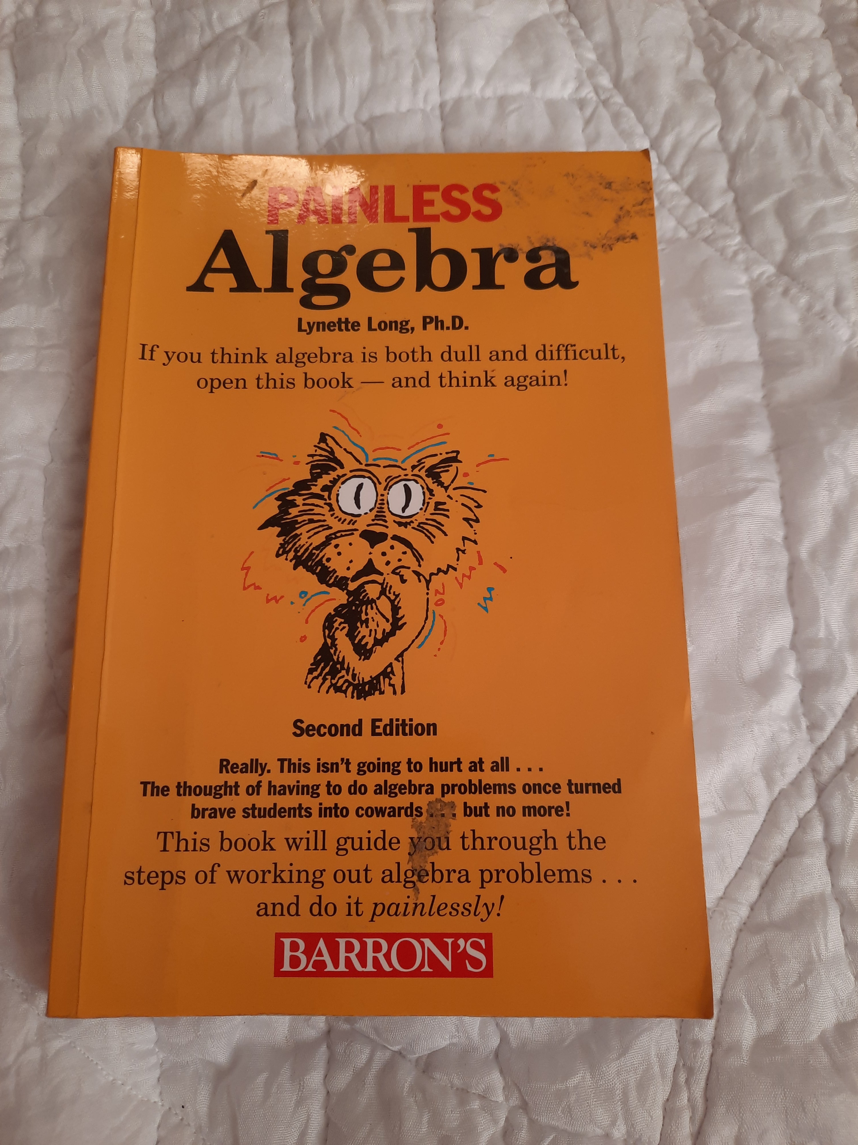 Painless Algebra