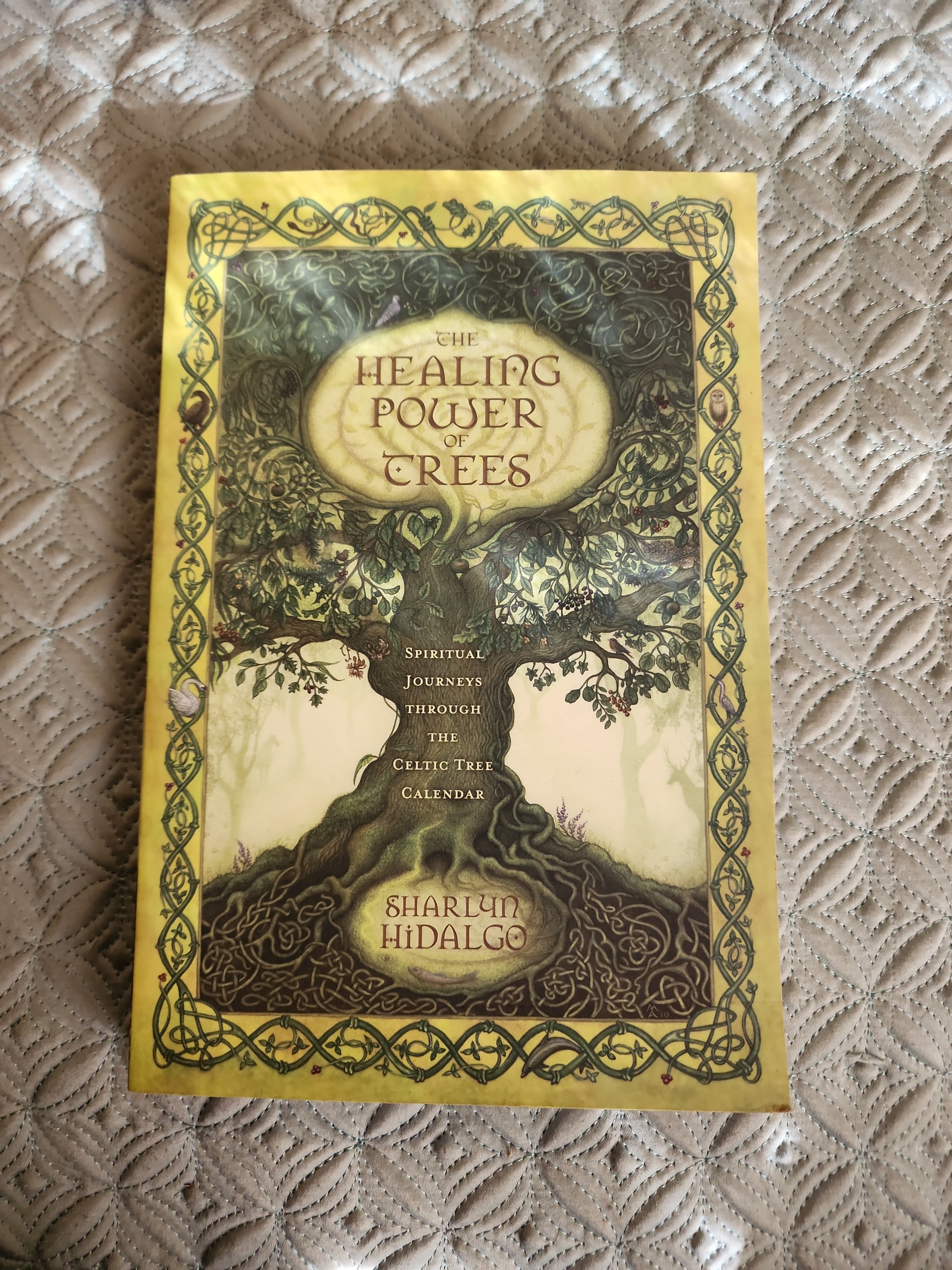 The Healing Power of Trees