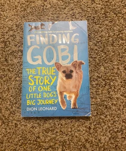 Finding Gobi