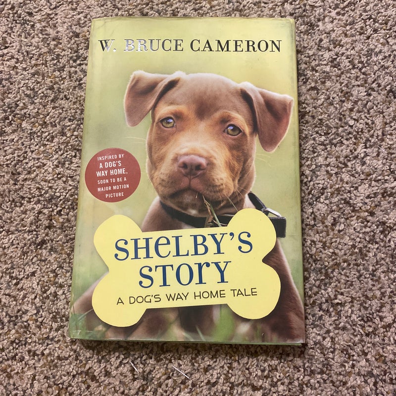 Shelby's Story