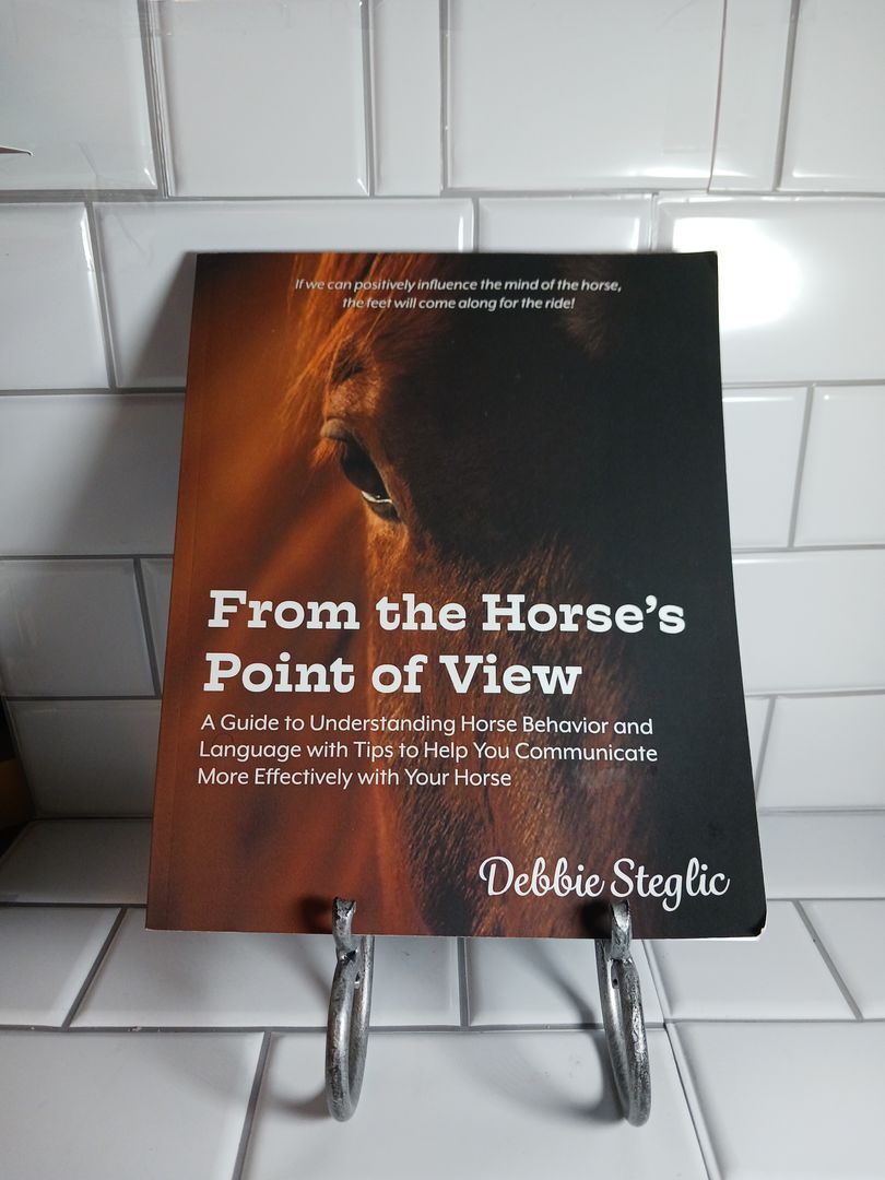 From the Horse's Point of View