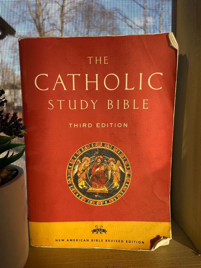 The Catholic Study Bible