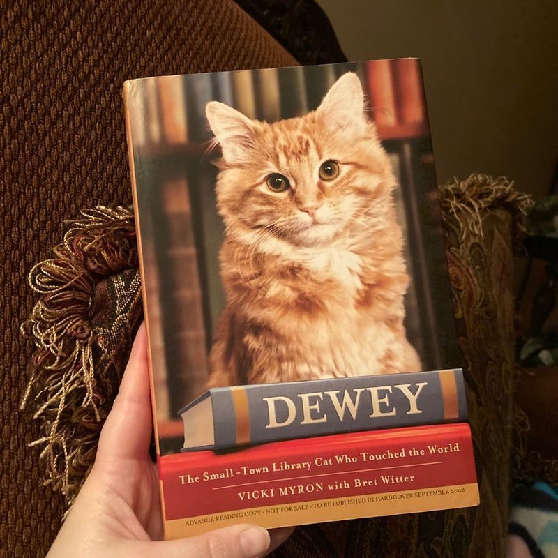 Dewey