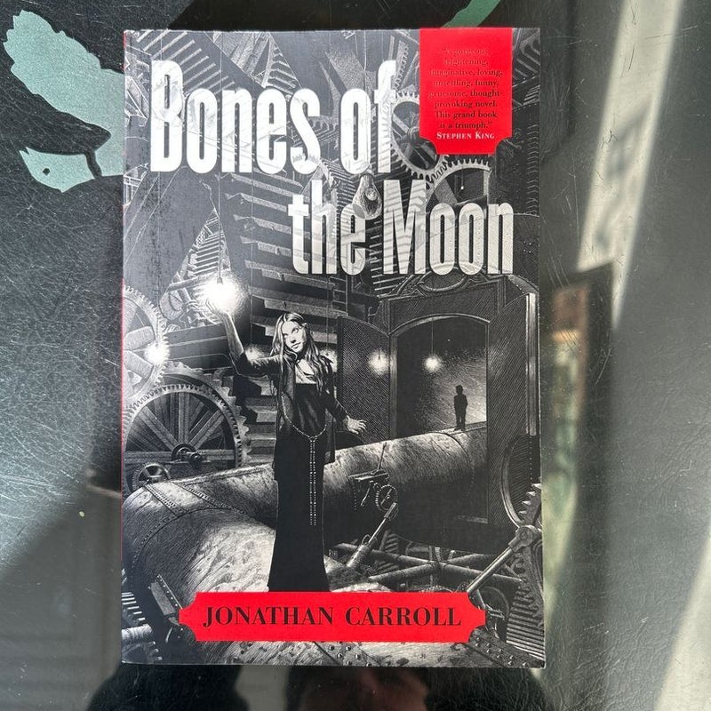 Bones of the Moon