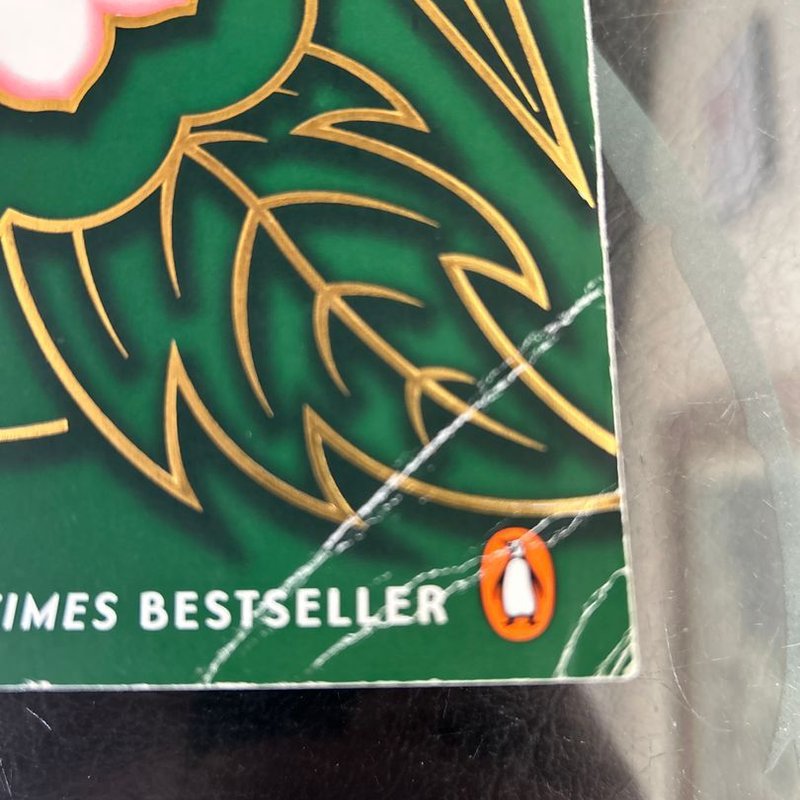 The Kitchen God's Wife