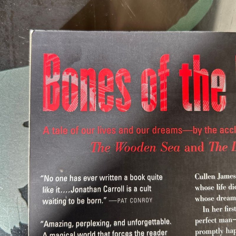 Bones of the Moon