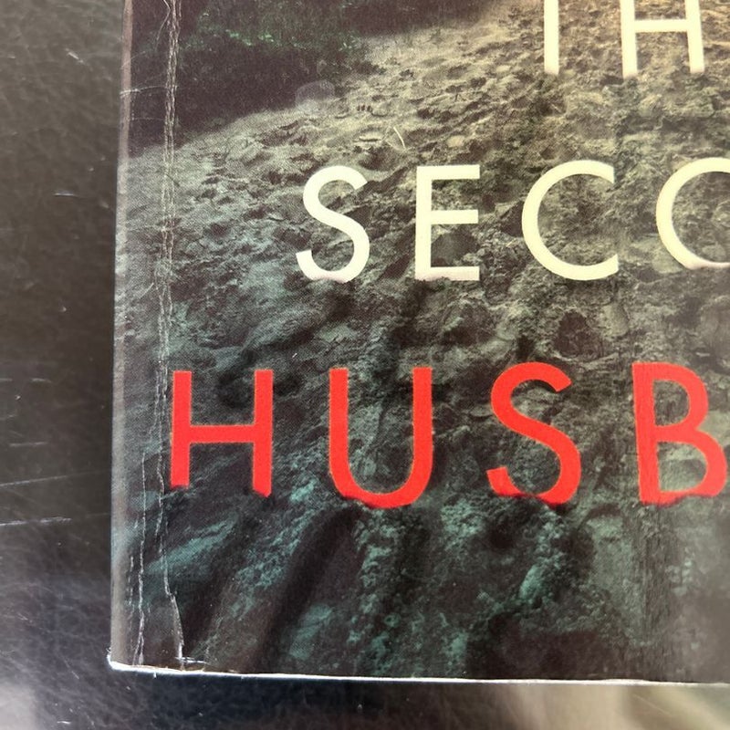 The Second Husband (Large Print Edition)