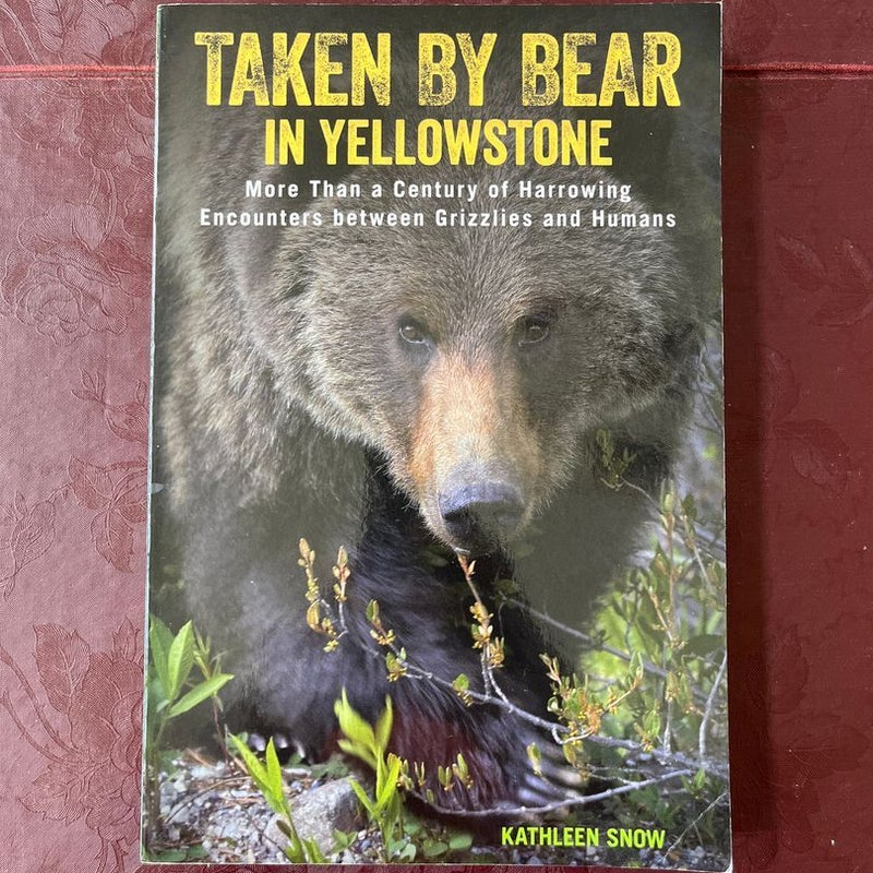 Taken by Bear in Yellowstone