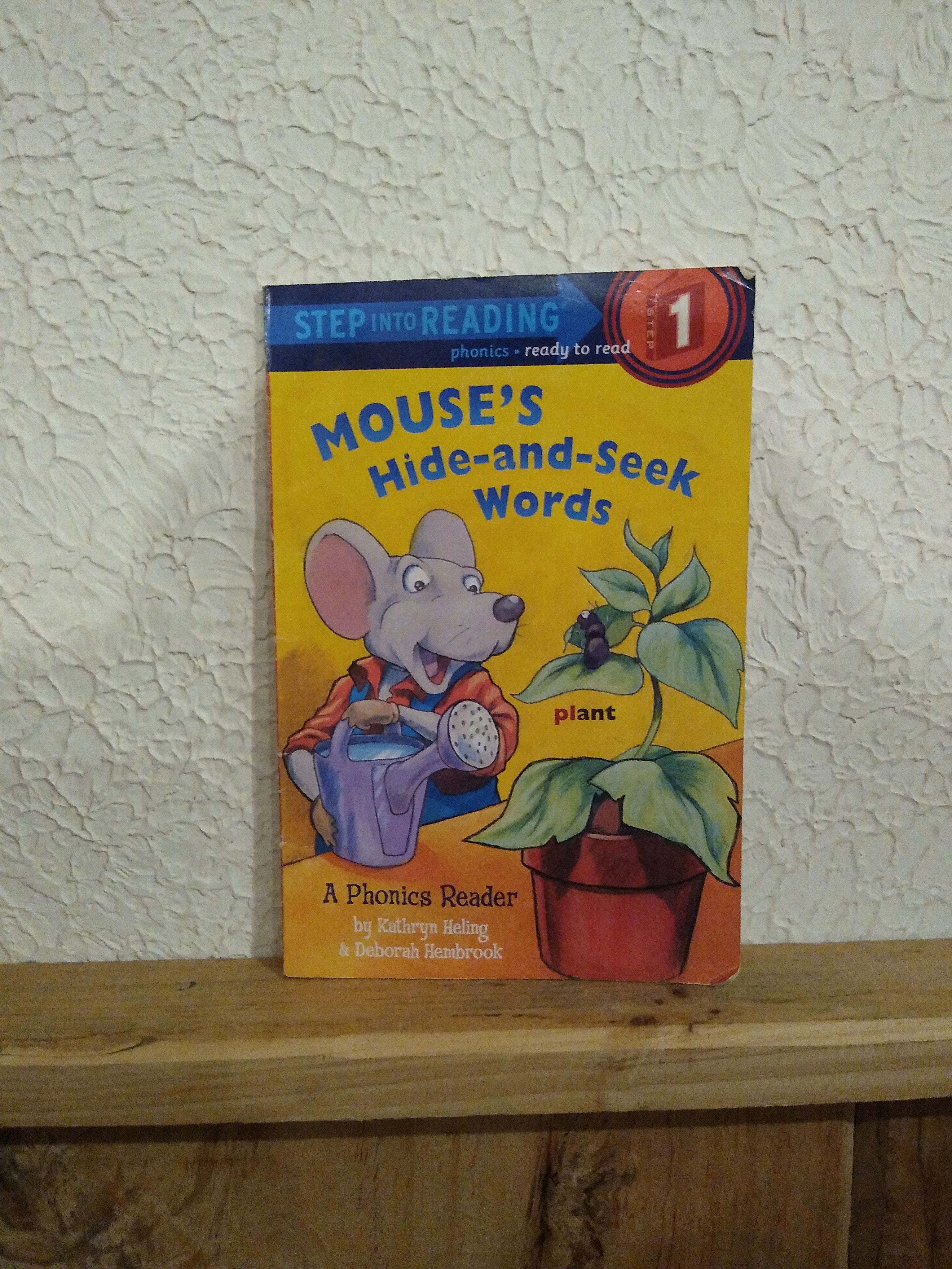 Mouse's Hide-and-Seek Words